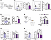 ICOS controls cholesterol biosynthesis in ILC2s for IL-10 production.