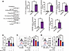 ICOS regulates IL-10 production in hILC2s via controlling cholesterol and c
