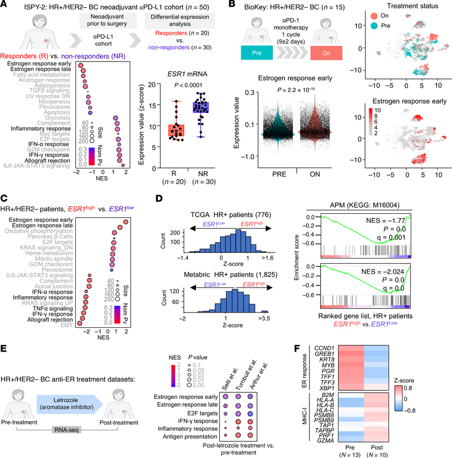 ER signaling is associated with immunotherapy resistance and reduced imm...