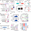 ER signaling is associated with immunotherapy resistance and reduced immuno