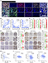 Analysis of USP22/EZH2/b2M expression in multiple types of cancers.