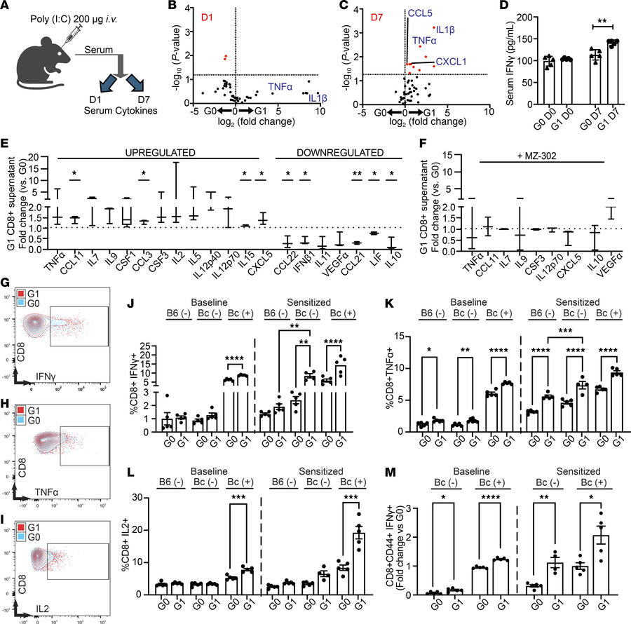 CD8+ T cells and sera from variant BAC-Tg mice demonstrate cytokine exce...