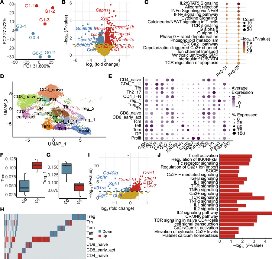 Transcriptome analyses reveal enhanced calcium-mediated calcineurin/NFAT...