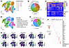 snRNA-seq analysis of iPSC-derived neural organoids.