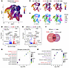 Transcriptome profile of FNDC4-dependent neurogenesis.