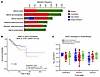 ZMIZ1 expression in endometrial pathologies.