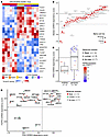 Identification of FGFR3-regulated TFs and discovery of TP63 as a key viabil