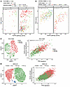 p63 activation correlates with FGFR3 pathway activity and basal-like cell s