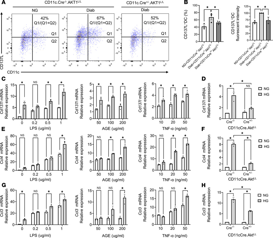 Modulation of Ccl4, Ccl3, and Cd137l levels in DCs.
(A) Representative f...