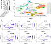 Single-cell profiling of gingival leukocytes.