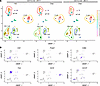 scRNA-Seq profile of gingival lymphocyte subclusters.