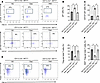 Diabetes increases γδ T cells and CD137+ γδ T cells that are DC dependent.