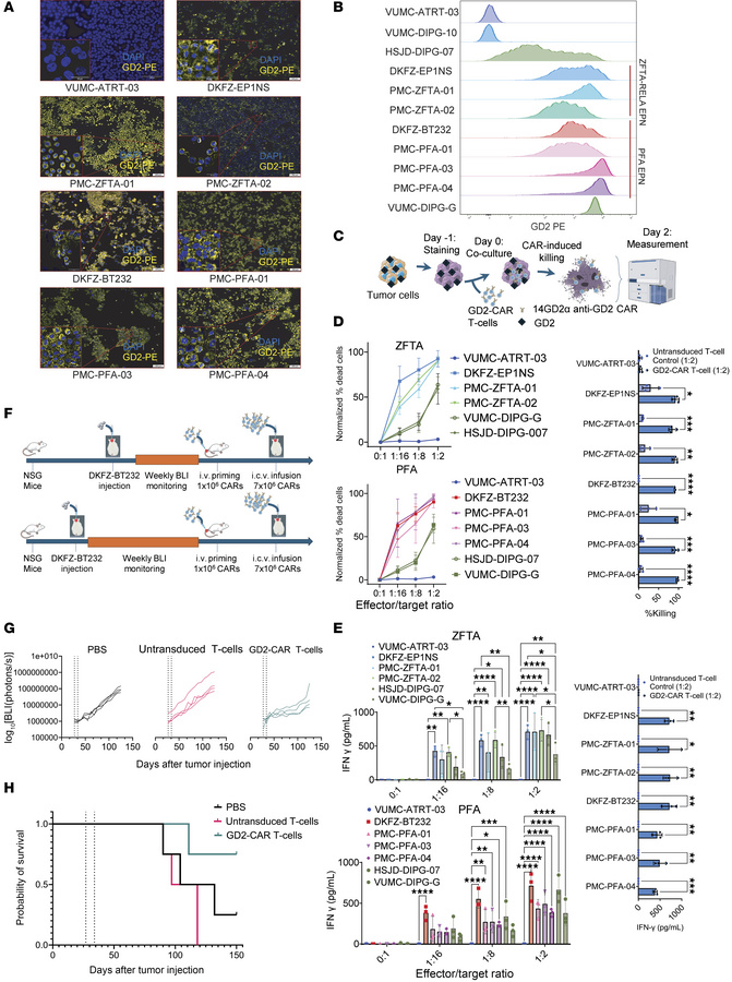 High-risk EPN models present the immunotherapeutic target GD2 and are se...