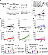 CD8+ T cells, CD4+ T cells, and NK cells are required for Ppp2r2a heterozyg