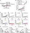 IFNAR1 neutralization abrogates PD-L1 blockade–induced regression in Ppp2r2
