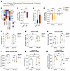 Macrophage-induced upregulation of Upp1 in cancer cells enhances their reli