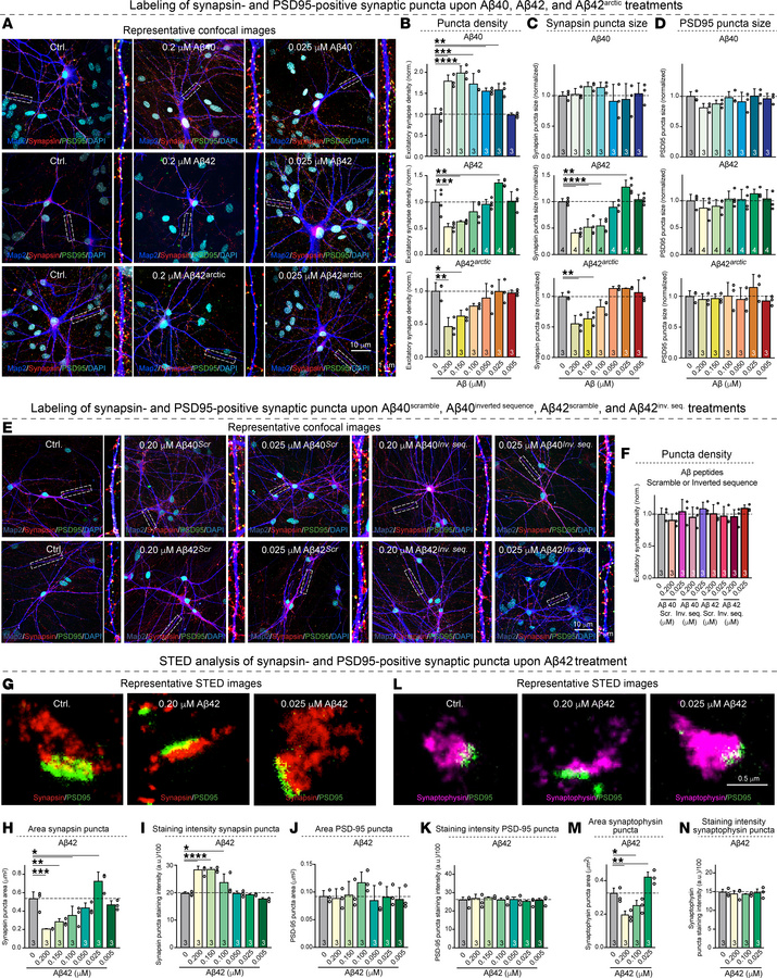 Analyses of the synaptogenic and synaptotoxic actions of Aβ40, Aβ42, and...