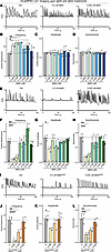 High concentrations of Aβ40 peptides enhance the network activity of human