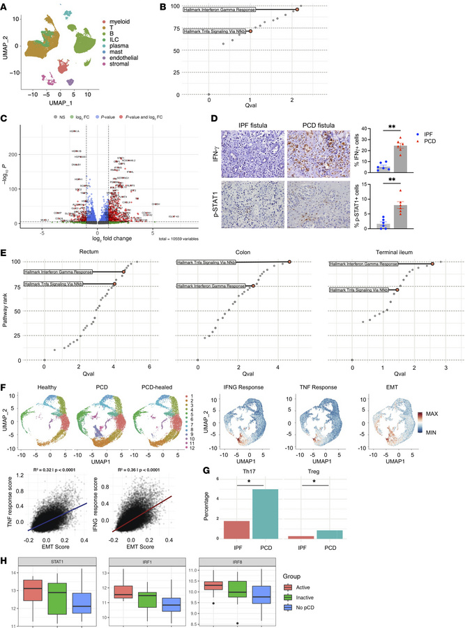Hyperactivated IFN-γ signaling is a distinguishing feature of PCD in bot...