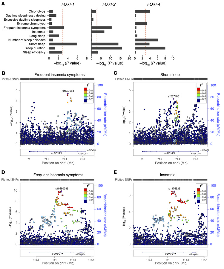 Common variants in FOXP1, FOXP2, and FOXP4 are associated with insomnia,...