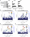 Common variants in FOXP1, FOXP2, and FOXP4 are associated with insomnia, fr