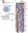 Liver-specific deletion of Abcc6 leads to metabolic abnormalities in the in