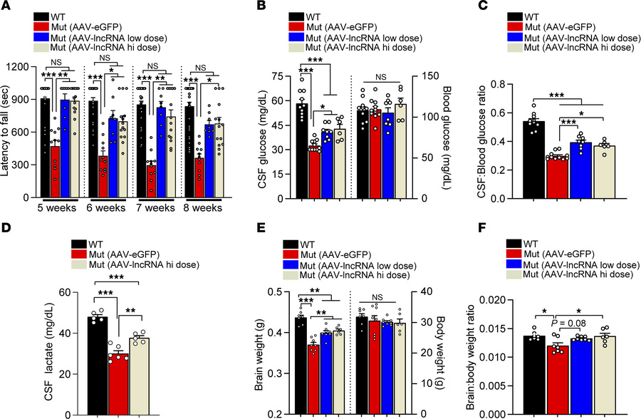 Viral vector-mediated delivery of the SLC2A1-DT lncRNA lessens GLUT1DS d...