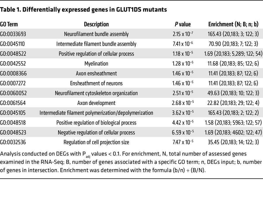Differentially expressed genes in GLUT1DS mutants