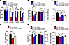 Viral vector-mediated delivery of the SLC2A1-DT lncRNA lessens GLUT1DS dise