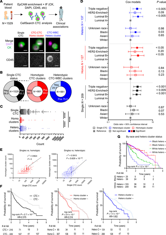 CTC frequencies in the blood biopsies of breast cancer patients and thei...