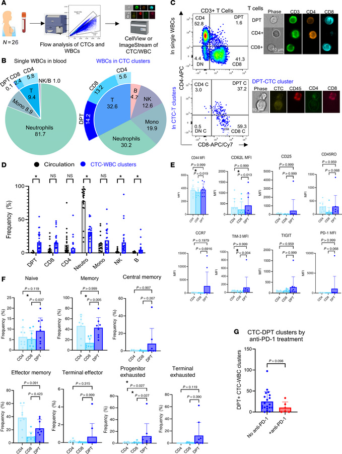 DPT cells are 140-fold enriched in CTC-WBC clusters compared with single...