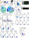 DPT cells are 140-fold enriched in CTC-WBC clusters compared with single WB