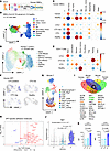 scRNA-Seq reveals enrichment of rare T cell subsets (DPTs) in the blood of