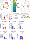 Targeting VCAM1 inhibits spontaneous lung metastasis and CTC-DPT clusters i
