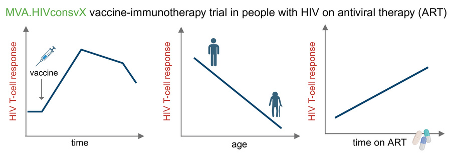 graphical abstract