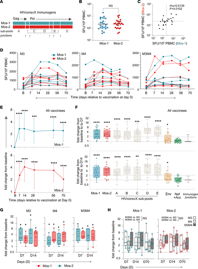 M3, M4, and M3M4 vaccinations increase the frequency of HIV-1–specific T...