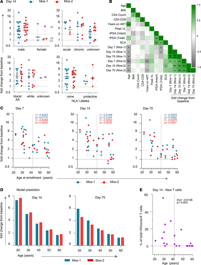 Age is linearly and inversely correlated with T cell response to vaccina...