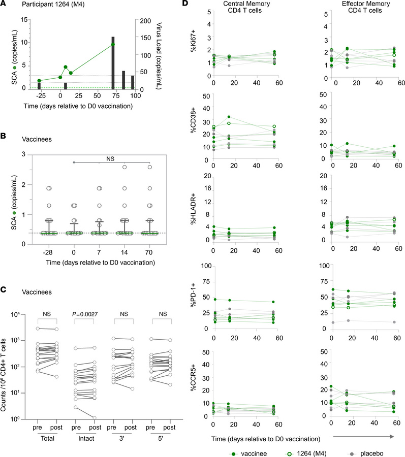 Vaccination levels did not impact persistent HIV-1 or CD4+ T cell activa...