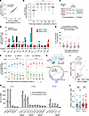 M3/M4/M3M4 vaccination increased the breadth and immunodominance of Mos-1–