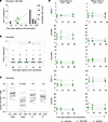 Vaccination levels did not impact persistent HIV-1 or CD4+ T cell activatio