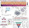 Integrated multiomics defines NPM1 as an SCF-FBXO11 substrate.