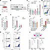 Low FBXO11 leads to derepression of splicing by NPM1 and is associated with