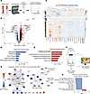 The FBXO11-NPM1 nexus is perturbed in the MDS HSPC proteome.