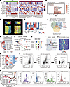 Single-cell characteristics of CXCL9+ macrophages and CD8+ T cells.