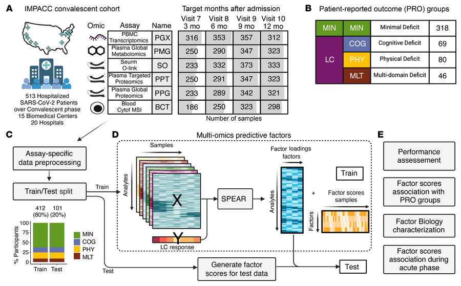 Multiomics data overview and generation of a predictive LC factor.
(A) N...