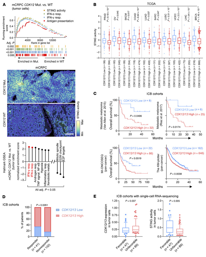 
CDK12/13 inactivation or low expression levels are associated with elev...