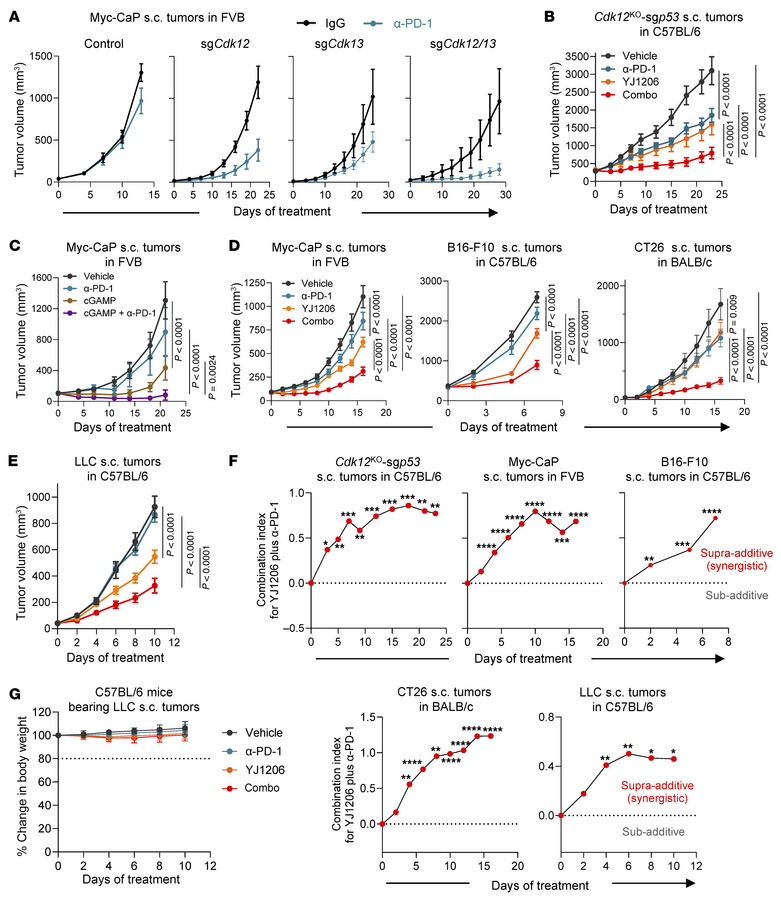 CDK12/13 inactivation activates antitumor immunity and enhances response...