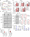 Targeting CDK12/13 activates STING signaling.