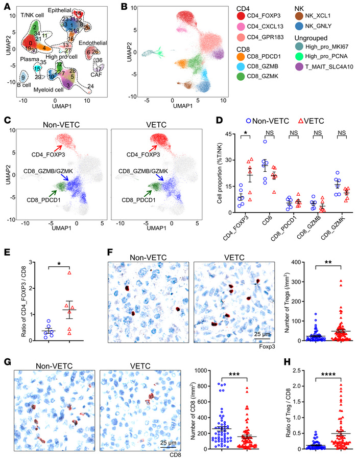 Single cell RNA-seq and IHC staining reveal an increase of Tregs and a d...