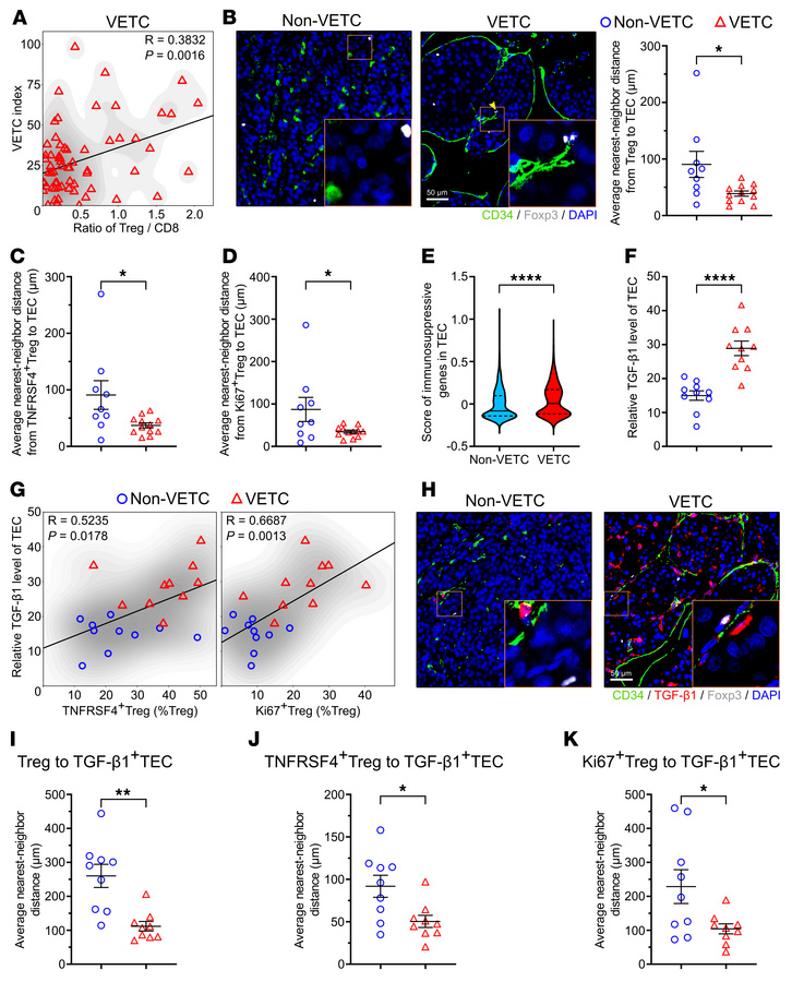 High TGF-β1 expression in TECs is associated with enhanced Treg enrichme...